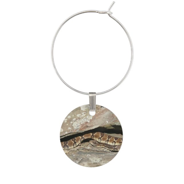Rattlesnake at Shenandoah National Park Wine Charm (Front)