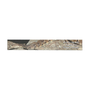 Rattlesnake at Shenandoah National Park Wrap Around Label