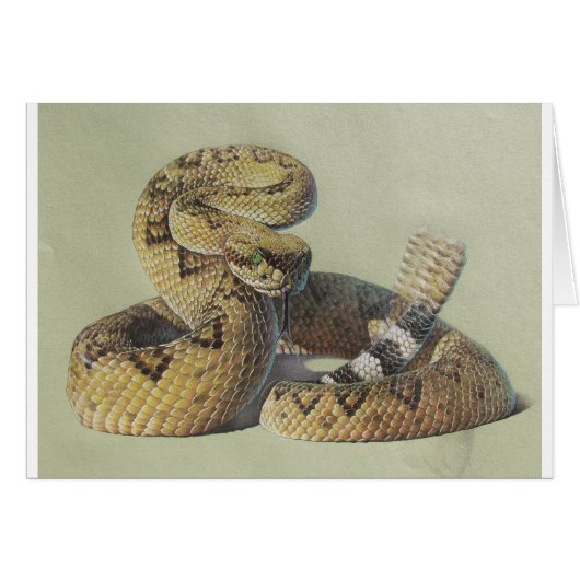 Rattlesnake Cards (Front Horizontal)