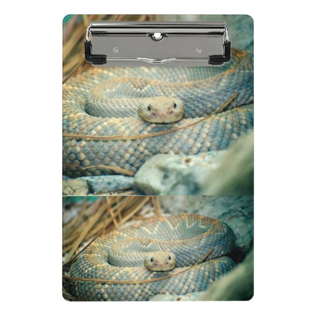 Rattlesnake Clipboard (Front)