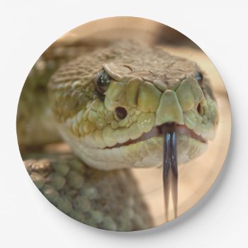 Rattlesnake Closeup Photo Paper Plates by Argos_Photography at Zazzle