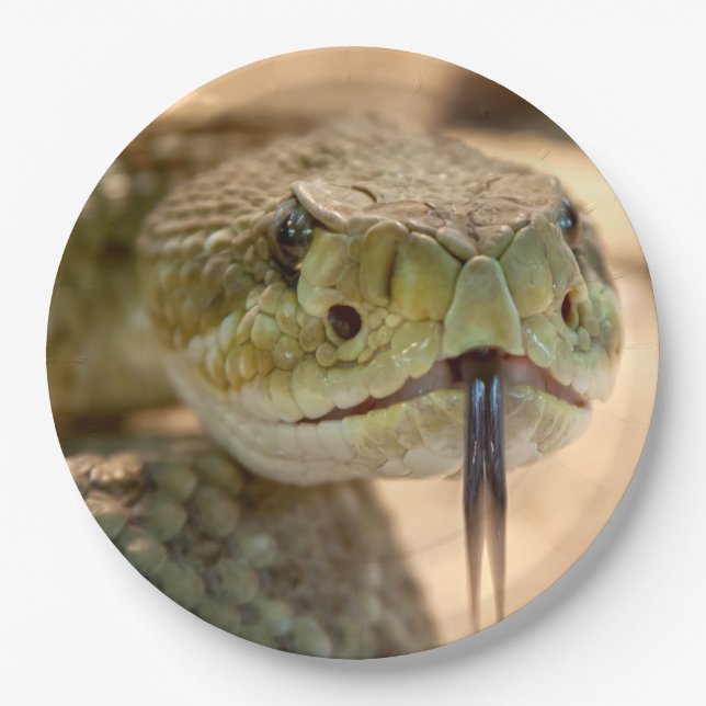 Rattlesnake Closeup Photo Paper Plates (Front)
