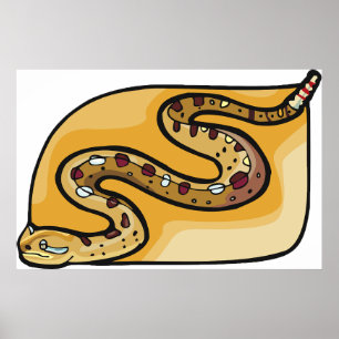 Rattlesnake Coiled Snake Southwestern Desert Poster