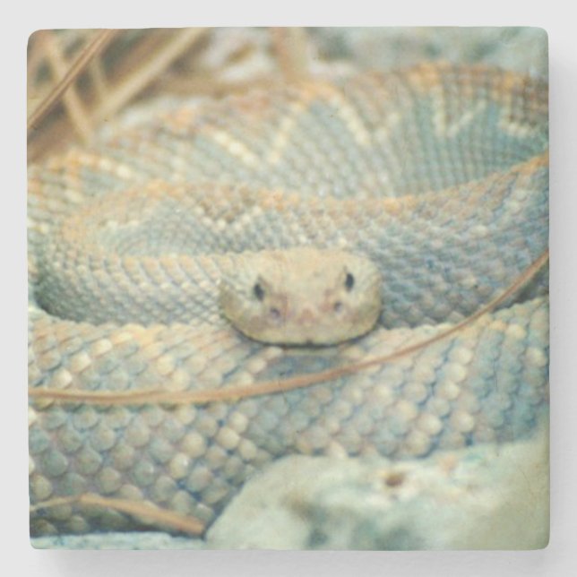 Rattlesnake Drink Coaster (Front)