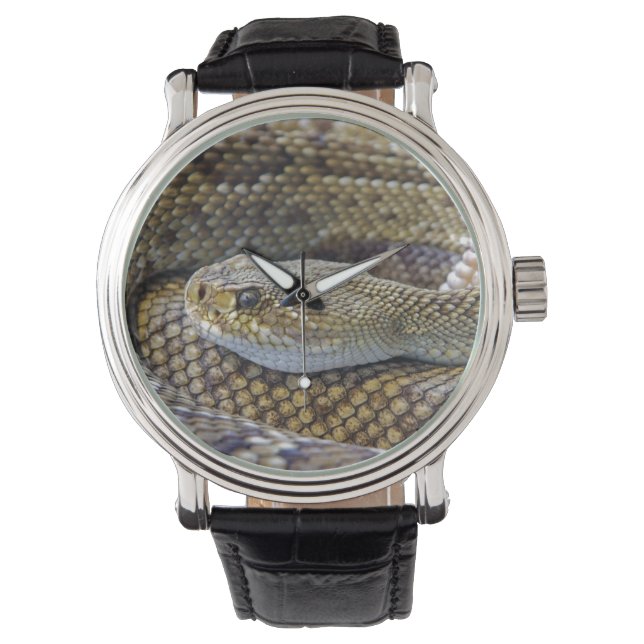 Rattlesnake face  watch (Front)