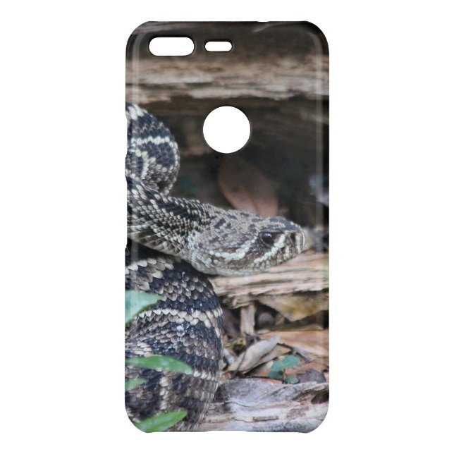 Rattlesnake Google Phone Cases (Back)