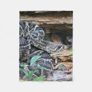 Rattlesnake In The Wild Fleece Blanket
