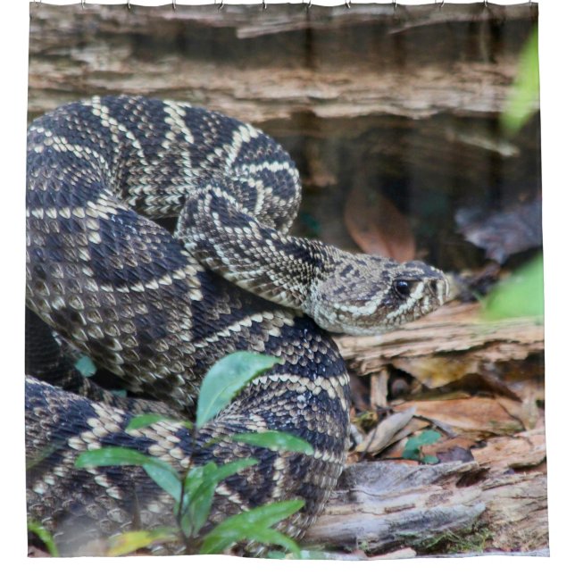 Rattlesnake In The Wild Shower Curtain (Front)