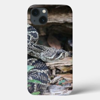 Rattlesnake iPhone Cases