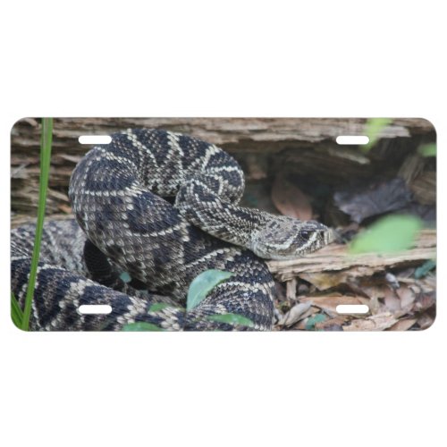 Rattlesnake License Plate