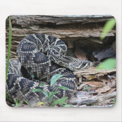 Rattlesnake Mouse Pad