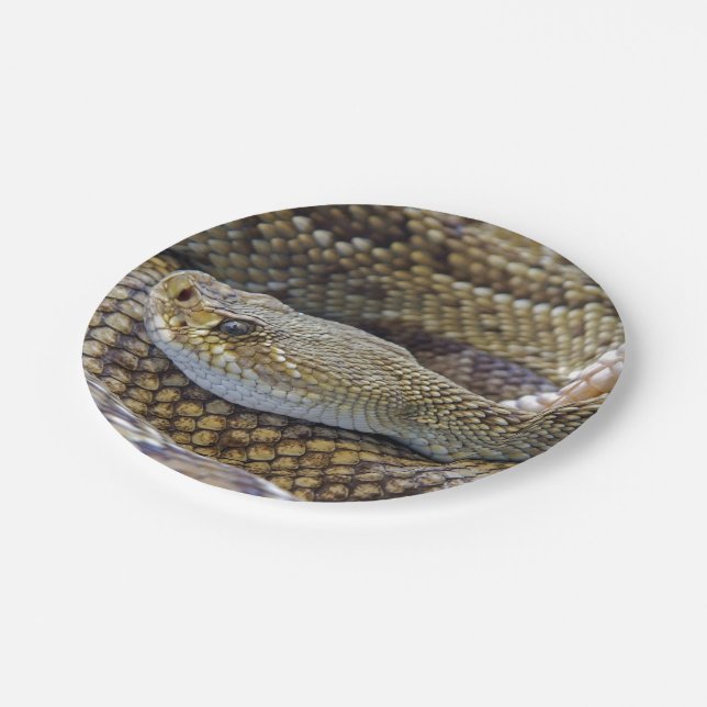 Rattlesnake photo paper plates (Angled)