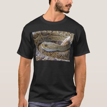 Rattlesnake Photo T-shirt by Argos_Photography at Zazzle