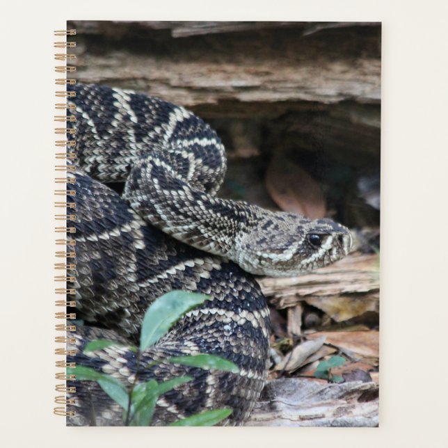 Rattlesnake Planner (Front)