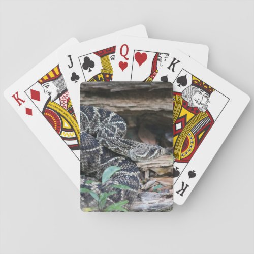 Rattlesnake Poker Cards