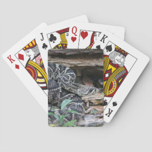 Rattlesnake Poker Cards