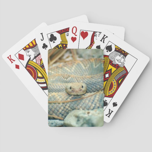 Rattlesnake Poker Cards (Back)