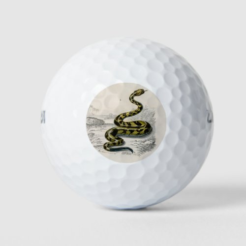 Rattlesnake Saharan horned Viper illustration Golf Balls