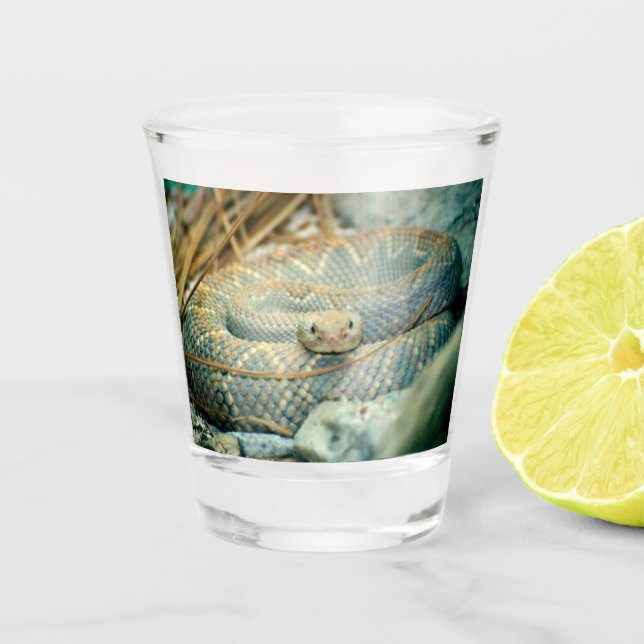 Rattlesnake Shot Glass (Front)