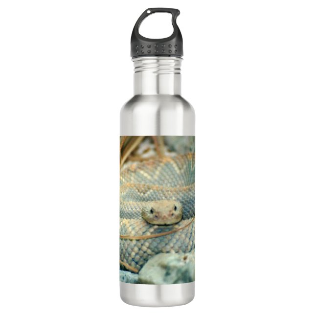 Rattlesnake Stainless Steel Water Bottle (Front)