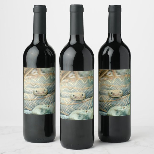 Rattlesnake Wine Label (Bottles)