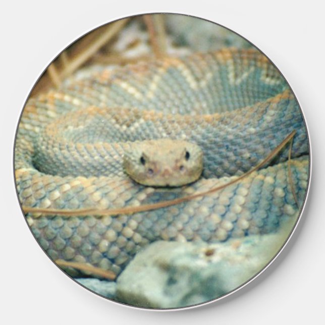 Rattlesnake Wireless Charger (Front)