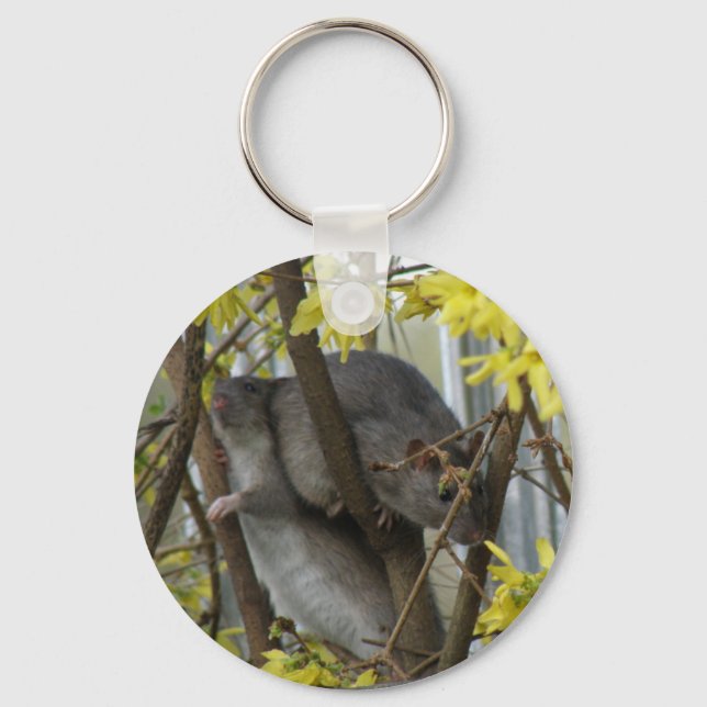 Ratty cuddles Keychain (Front)