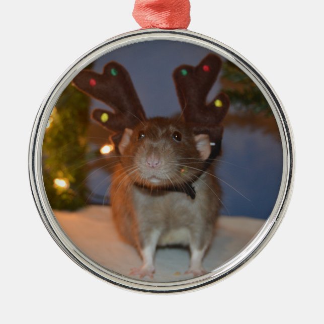 Ratty Reindeer Metal Ornament (Front)