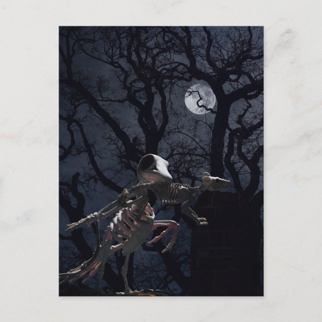 Raven and Rat Skeleton in Moonlight Postcard (Front)