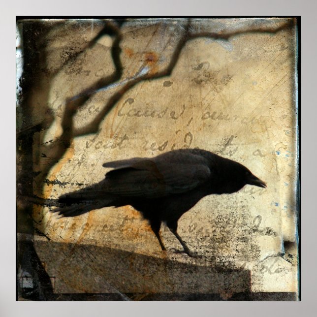 Raven Art Poster (Front)
