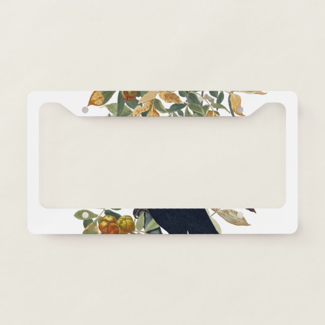 Raven Bird License Plate Frame (Front)