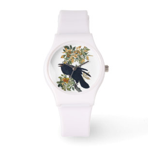 Raven Bird Watch