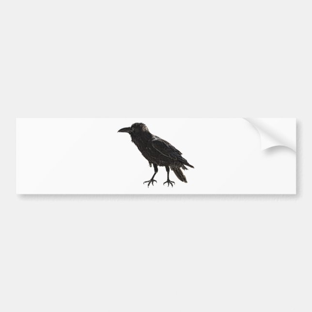 Raven Bumper Sticker (Front)