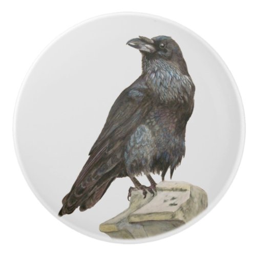 Raven Ceramic Knob