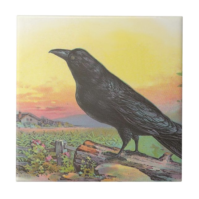 Raven Ceramic Tile (Front)