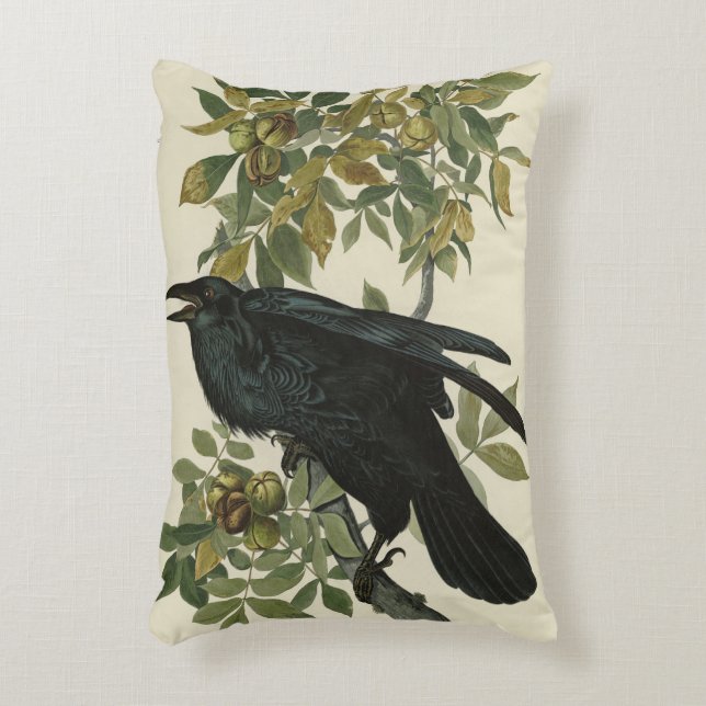 Raven (Common Raven) from Audubon Birds of America Accent Pillow (Front(Vertical))