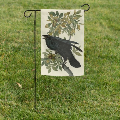 Raven Common Raven from Audubon Birds of America Garden Flag