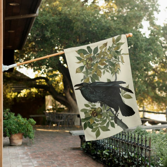 Raven (Common Raven) from Audubon Birds of America House Flag (In SItu)