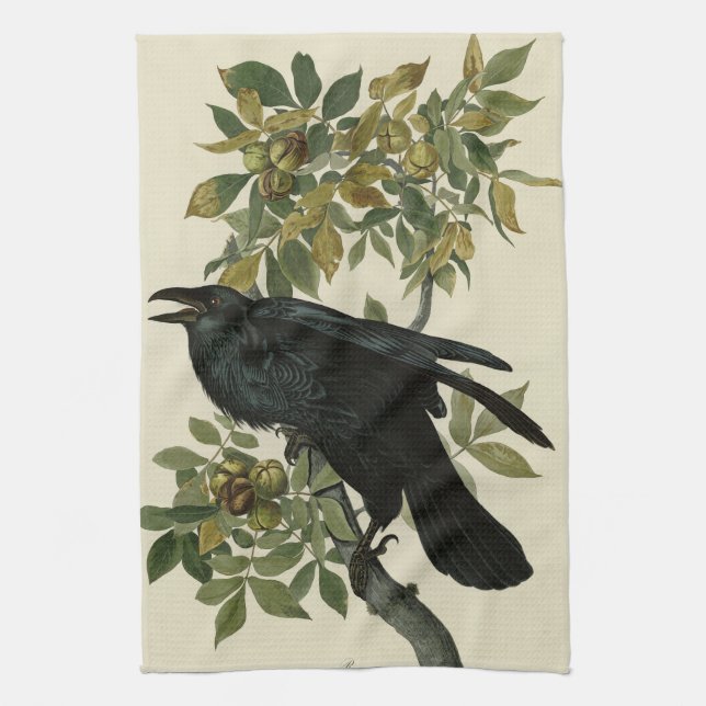 Raven (Common Raven) from Audubon Birds of America Kitchen Towel (Vertical)