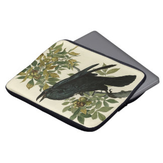 Raven (Common Raven) from Audubon Birds of America Laptop Sleeve