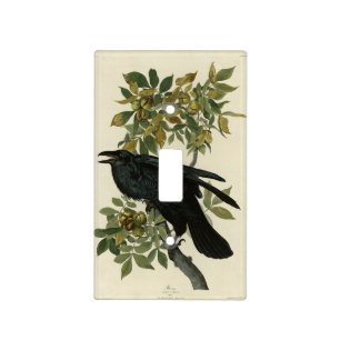 Raven (Common Raven) from Audubon Birds of America Light Switch Cover