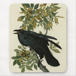 Raven (Common Raven) from Audubon Birds of America Mouse Pad