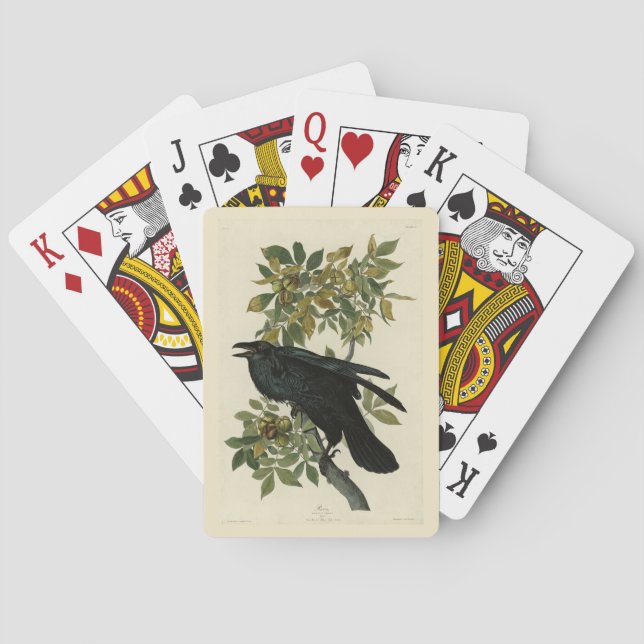 Raven (Common Raven) from Audubon Birds of America Poker Cards (Back)