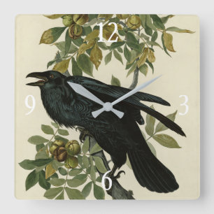 Raven (Common Raven) from Audubon Birds of America Square Wall Clock