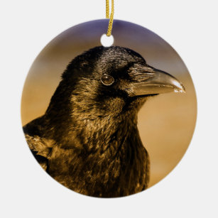 Raven Crow Gothic Fantasy Black Bird Nature Ceramic Ornament