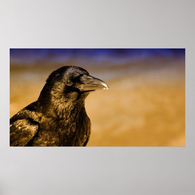 Raven Crow Gothic Fantasy Black Bird Nature Poster (Front)