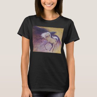 Raven Dance T-Shirt