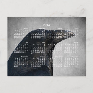 Raven Glamour Shot; 2013 Calendar Postcard