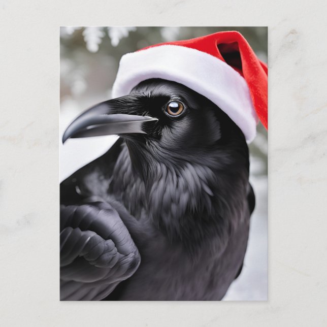 Raven in a Santa Hat Postcard (Front)