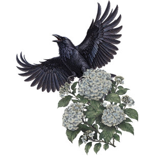 Raven in Flight & Blue Hydrangeas Gothic Botanical Sticker